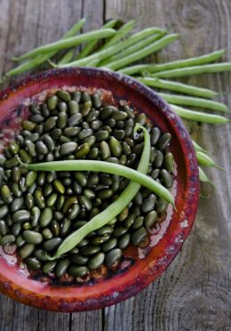 French Bean Mbombo LAH 2024 web _DSF4578 scaled