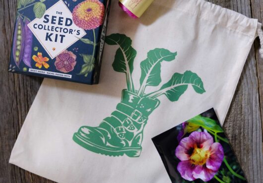 Ladies Bundle LAH 2025 web _DSF7385 scaled