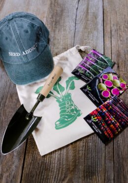 Cap Bundle LAH 2025 web_DSF7402 scaled