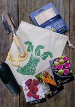 Kids Bundle LAH 2025 web_DSF7393 scaled