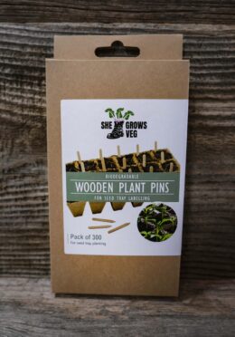 Garden 104 LAH 2025 web_DSF6525 scaled