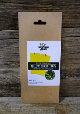 Garden 107 LAH 2025 web_DSF8050 scaled