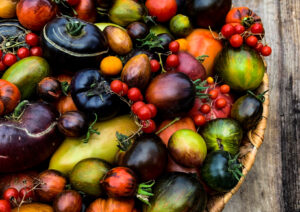 Tomato Tuesday kick off 2