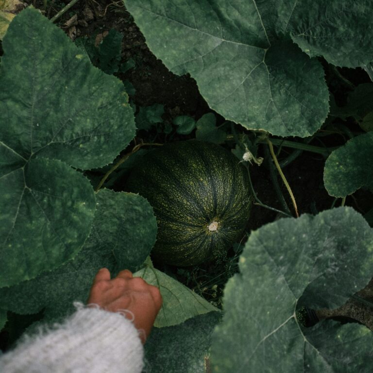 jisca lucia Q2psWzCaY8k unsplash scaled