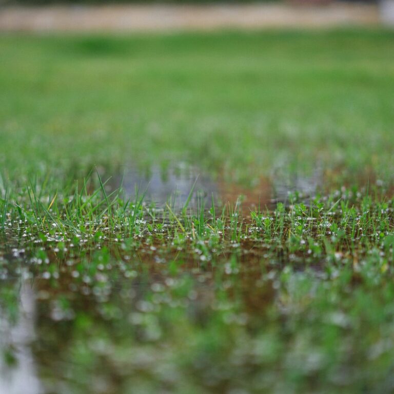 Water logging RkotLKz3eBY unsplash scaled