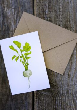 Garden 161 LAH 2025 web _DSF8065 scaled