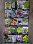 Gift Pack All Round Veg LAH 2025 web _DSF8135 scaled