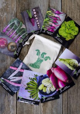 Gift Pack Allotment Starter LAH 2025 web _DSF8118 scaled