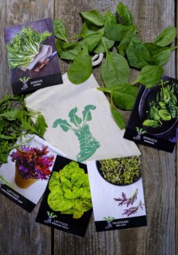 Gift Pack Year Round Veg LAH 2025 web_DSF8132 scaled