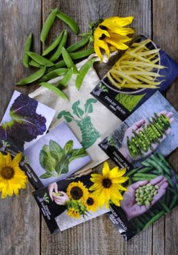 Gift Packs Container New LAH 2025 web _DSF8127 scaled