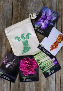 Gift Packs Foodie New LAH 2025 web _DSF8120 scaled