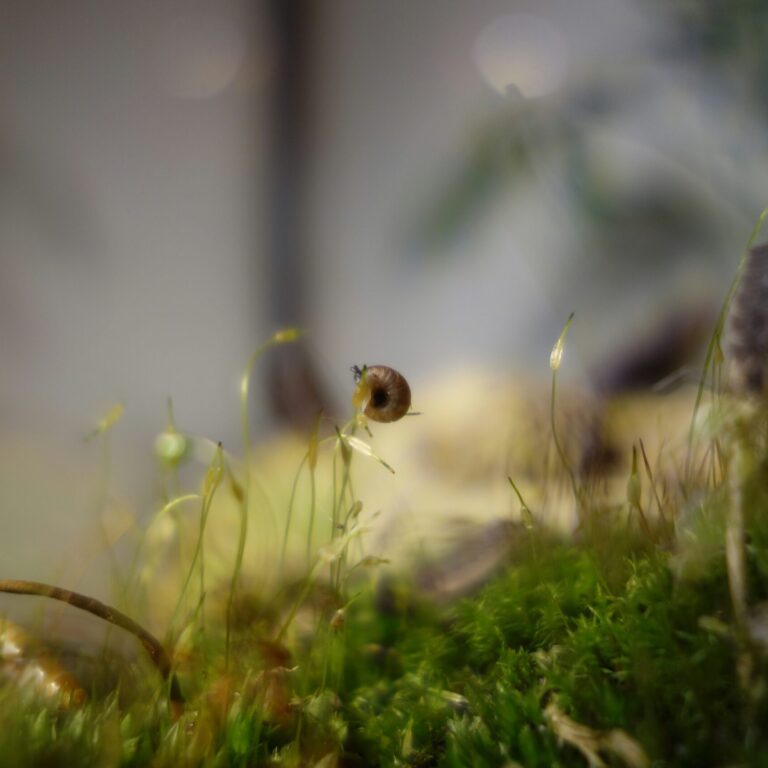 lucius amberg JHjLfXntpP8 unsplash scaled