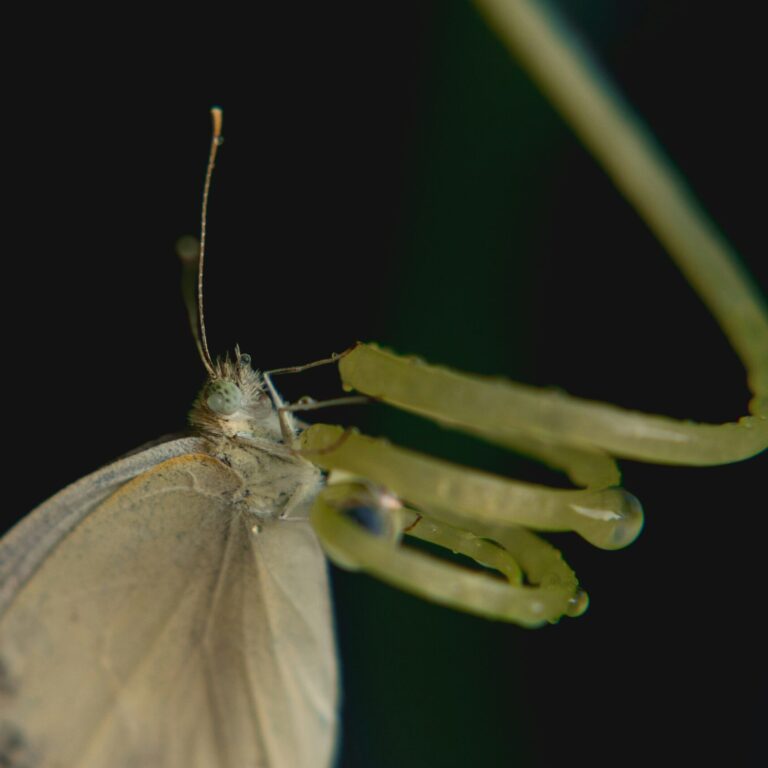 emma swoboda jT RWkReIfg unsplash scaled