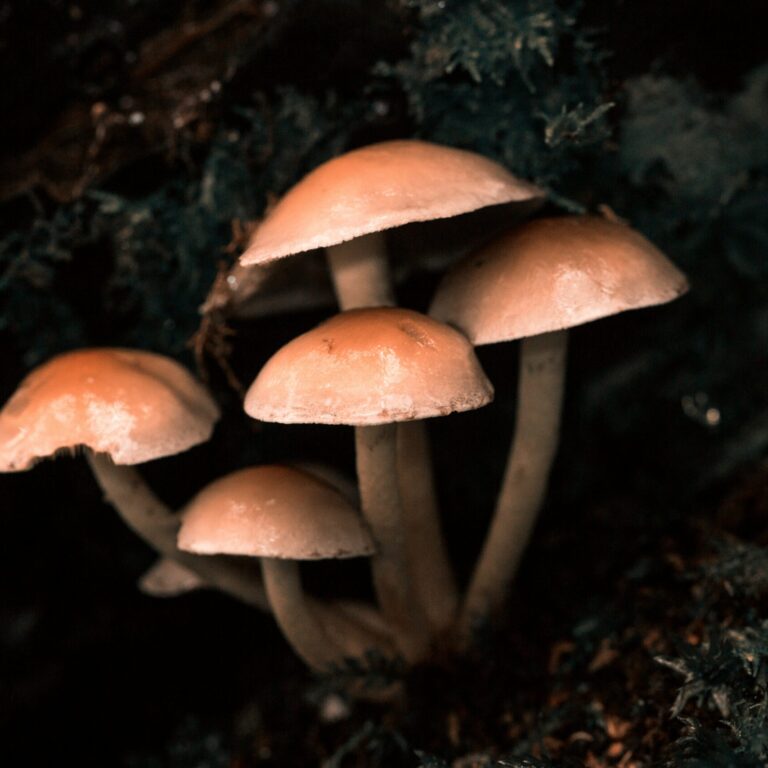 diana parkhouse P9nFGQRWEp0 unsplash scaled