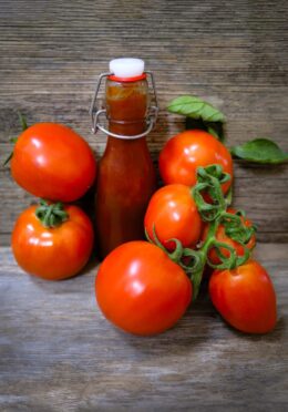 Tomato Heinz 1350 LAH 2025 web _DSF7042 scaled