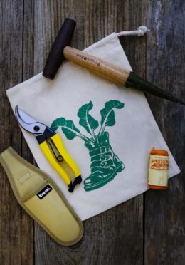 Prune and Plant LAH 2025 web _DSF8389 scaled