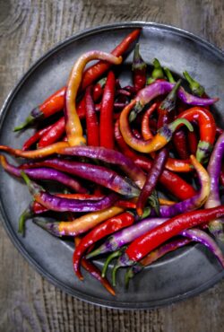 Chilli Buena Mulata LAH 2025 web_DSF7545 scaled