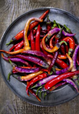 Chilli Buena Mulata LAH 2025 web_DSF7545 scaled