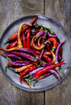 Chilli Buena Mulata LAH 2025 web _DSF7546 scaled