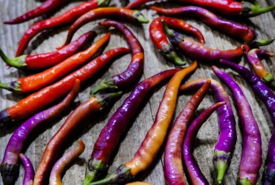 Chilli Buena Mulata LAH 2025 web _DSF7542 scaled