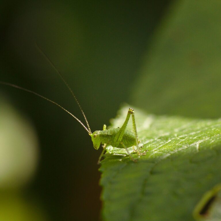 tom elegeert yJIF_gmlDgM unsplash scaled