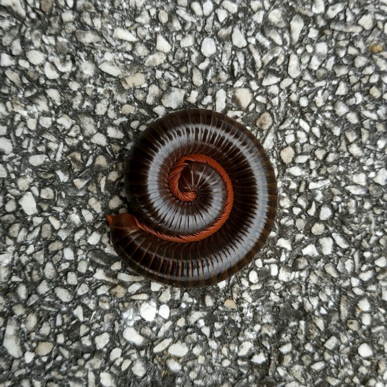 ainun balada 3eIPnPLKfP4 unsplash scaled