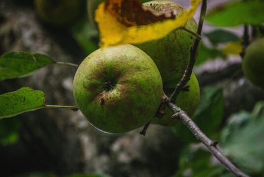 samuel huwiler 7sKNSsR_nVM unsplash scaled