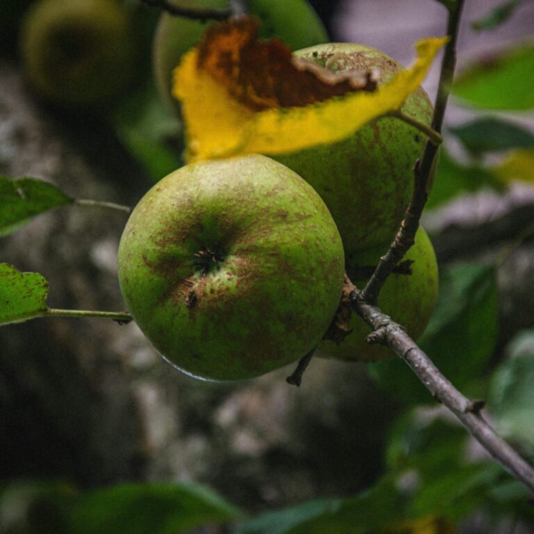 samuel huwiler 7sKNSsR_nVM unsplash scaled