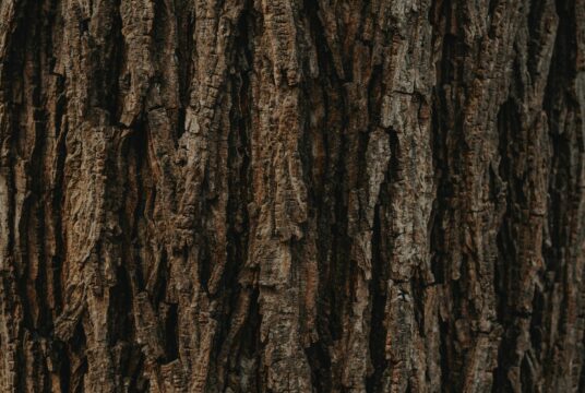 clay banks 4u629vFD3vI unsplash scaled