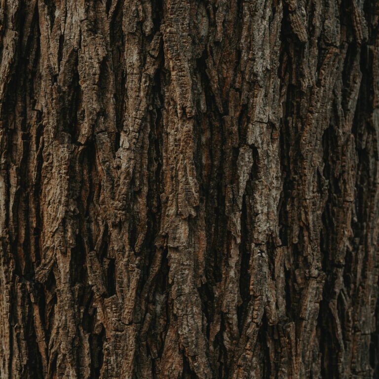 clay banks 4u629vFD3vI unsplash scaled