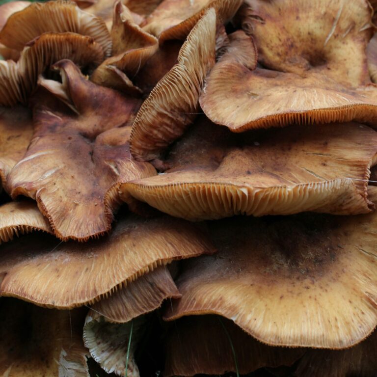 estere LqKUAm5V VE unsplash scaled