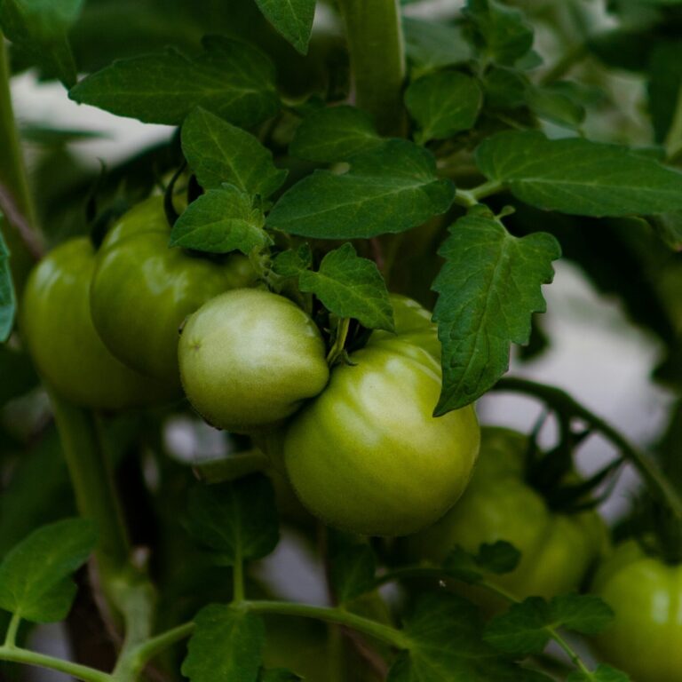 korobovaphoto 42YurL kUk4 unsplash scaled