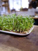 Garden 115 LAH 2025 web_DSF8159 scaled